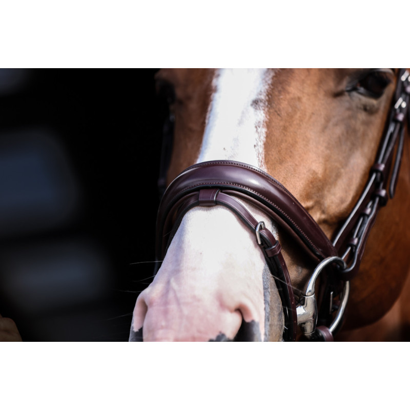 Bridon Pro Line Venezia - HFI | Mors & More
