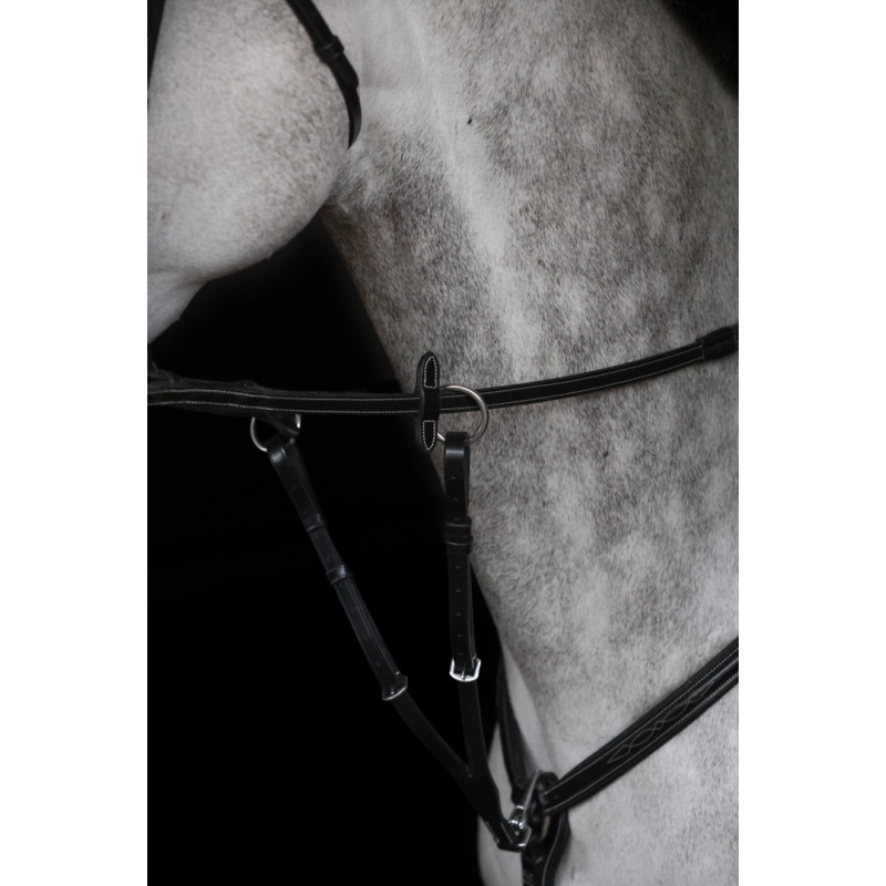 Collier de chasse Alba - Pro line - HFI | Mors & More