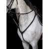 Collier de chasse Aosta - Pro line - HFI | Mors & More