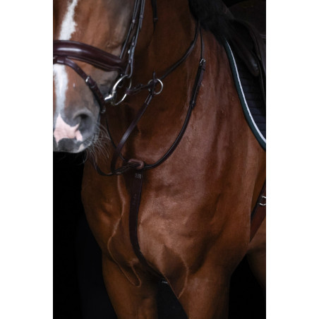 Martingale à anneaux ASTI Pro line - HFI| Mors & More
