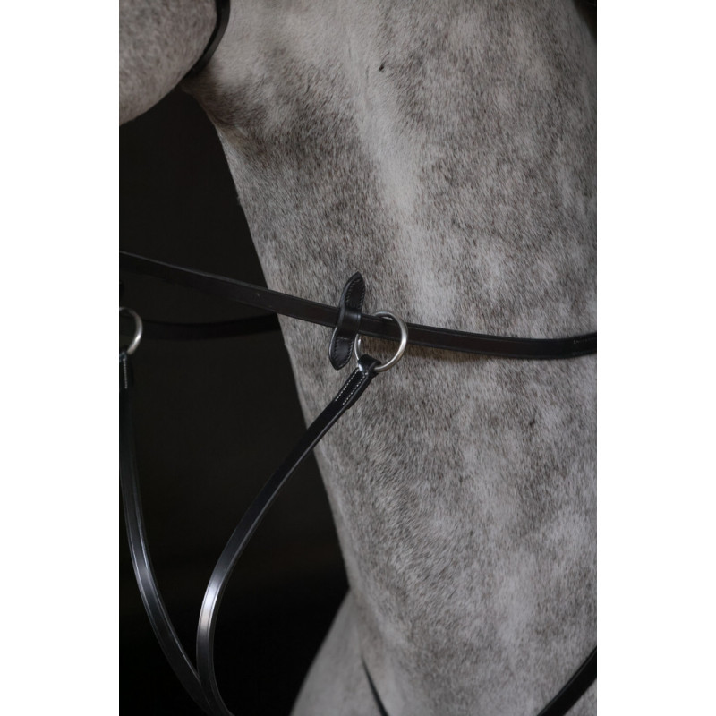 Martingale à anneaux ASTI Pro line - HFI| Mors & More