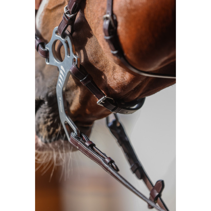 Leather noseband for hackamore Pro Line - HFI | Mors & More