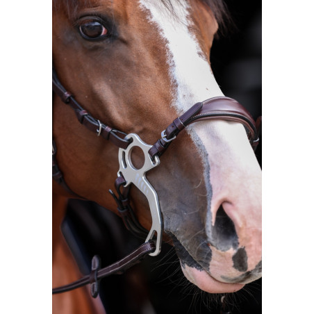Leather noseband for hackamore Pro Line - HFI | Mors & More