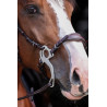Set Muserolle pour Hackamore en cuir Pro Line - HFI| Mors & More