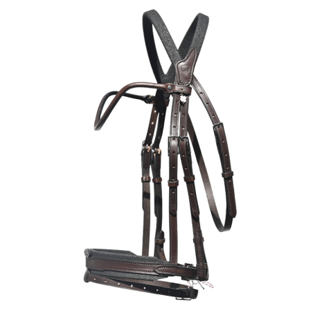 Evolution contact bridle Disco browband - IHWT | Mors & More