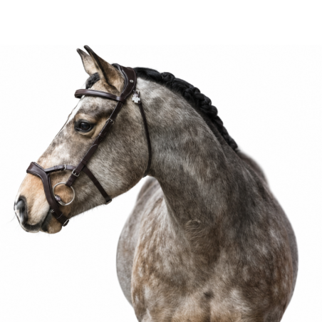 Snaffle bridle Jackson - LJ | Mors & More