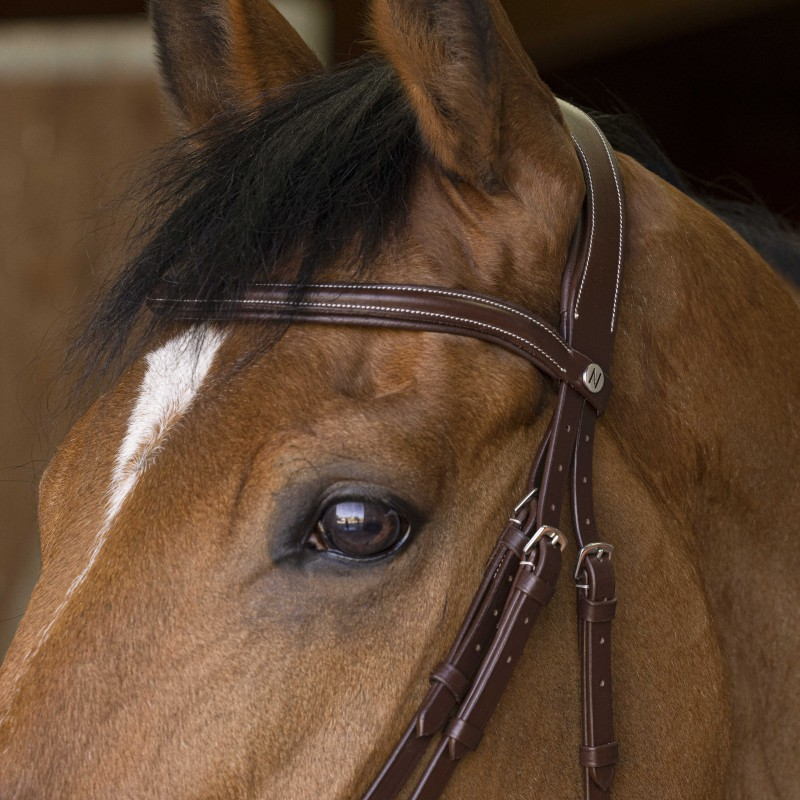 Rock bridle - Norton | Mors & More