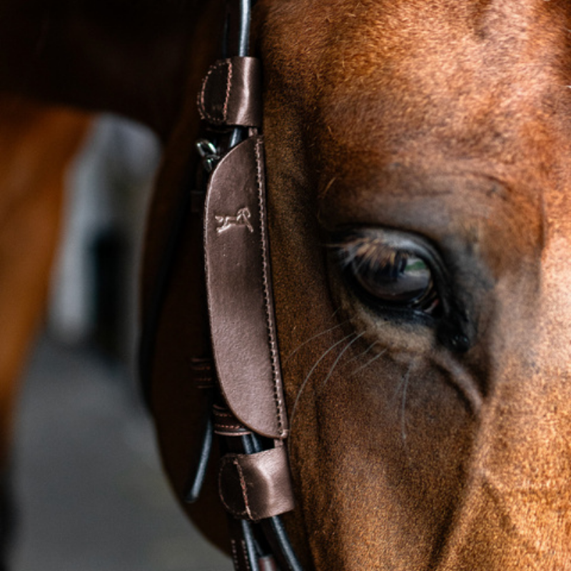 Focus Blinkers - Fager | Mors & More