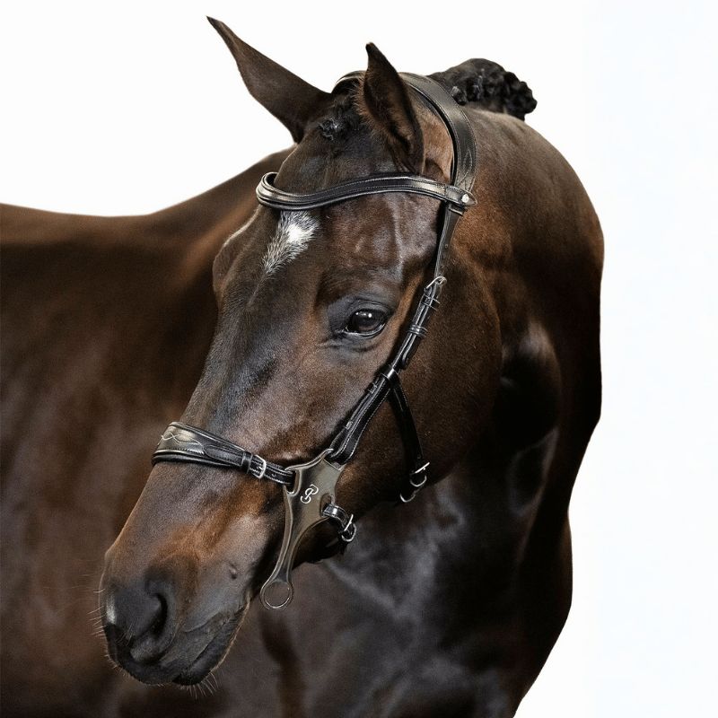 Hackamore Bridle - PS of Sweden