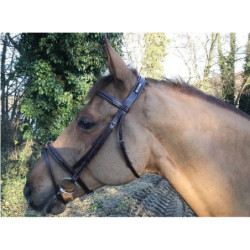 Cavaletti