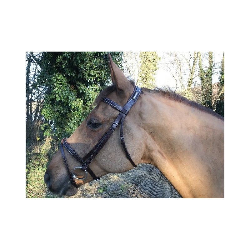 Cavaletti