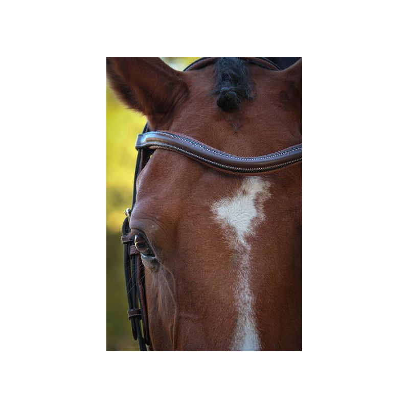 Bridle New York with Reins - One