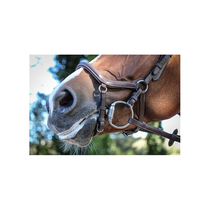Bridle New York with Reins - One