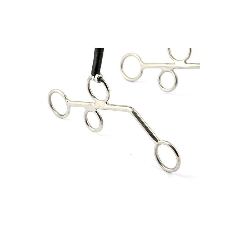 Hackamore with hard noseband and long shanks