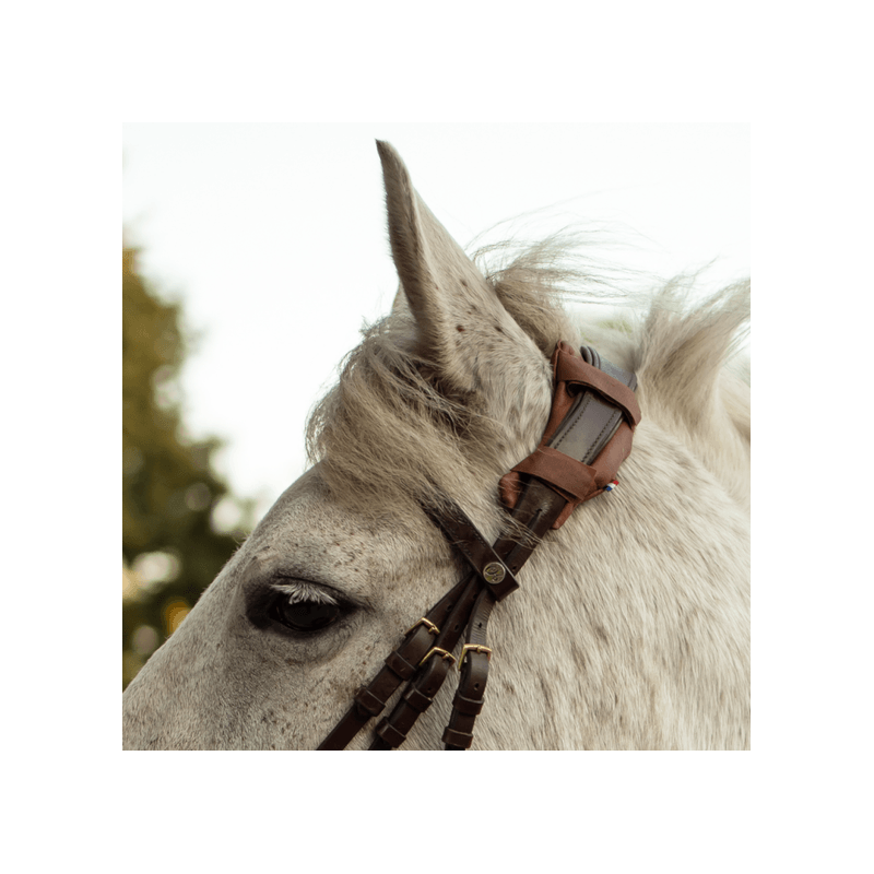 KilPenn Light Neck protector