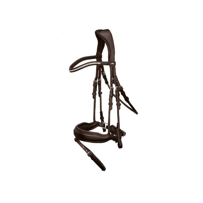 Select Malibu Bridle