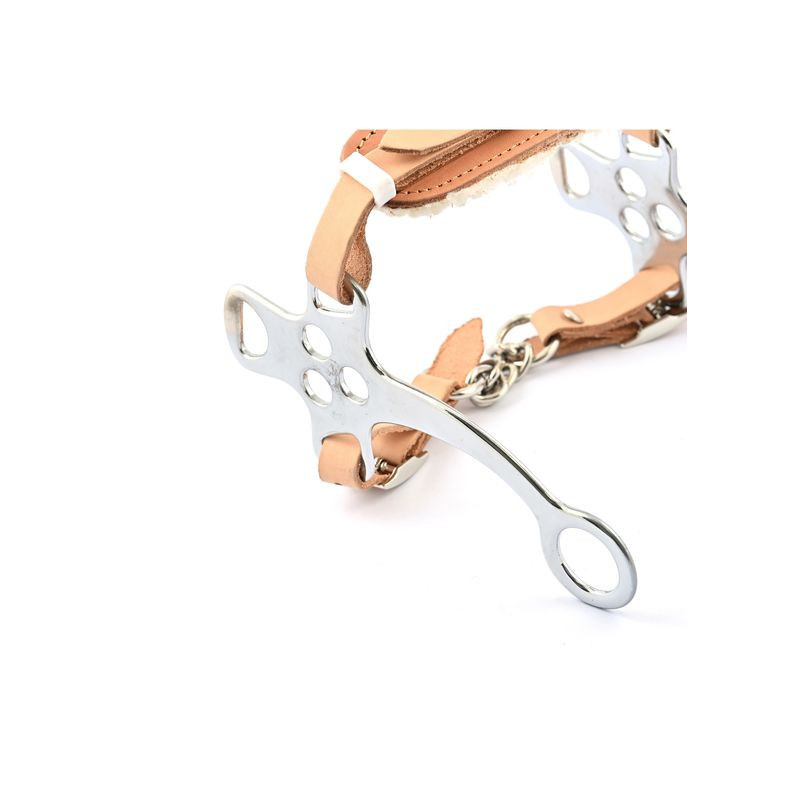 Hackamore baby cheek