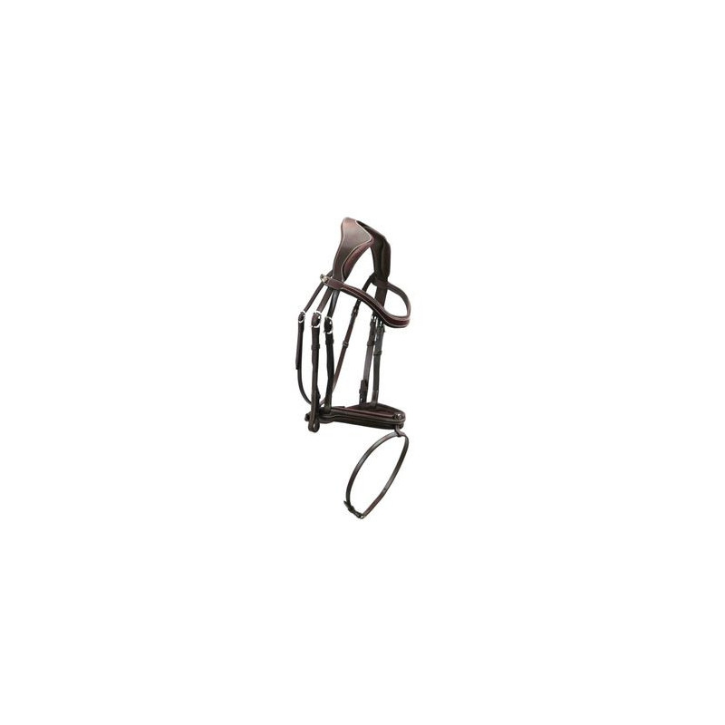 Precision Comfort Bridle Antarès