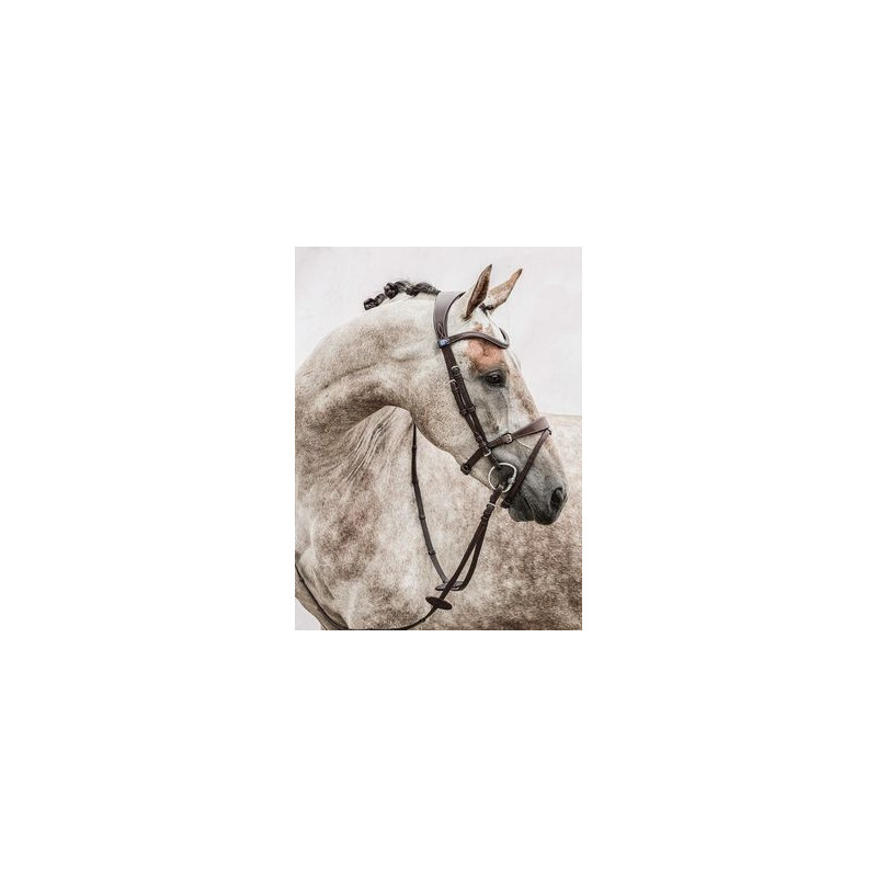 Bridle, Mary Lou by Henrik von Eckermann