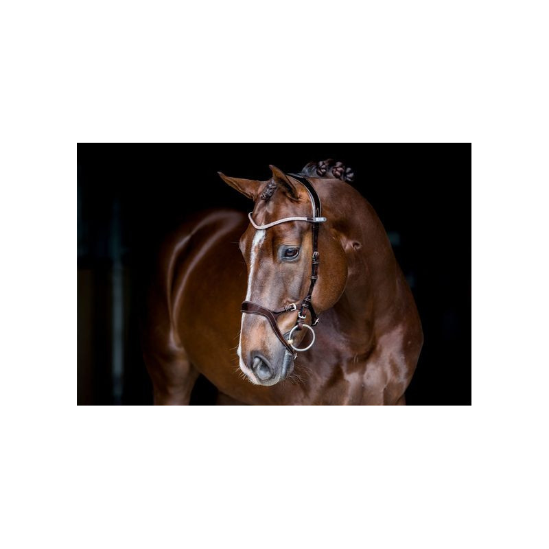 Nirak Bridle