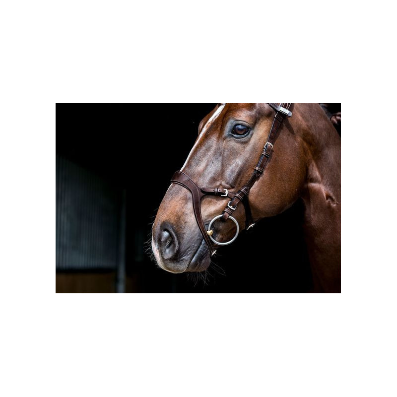 Nirak Bridle