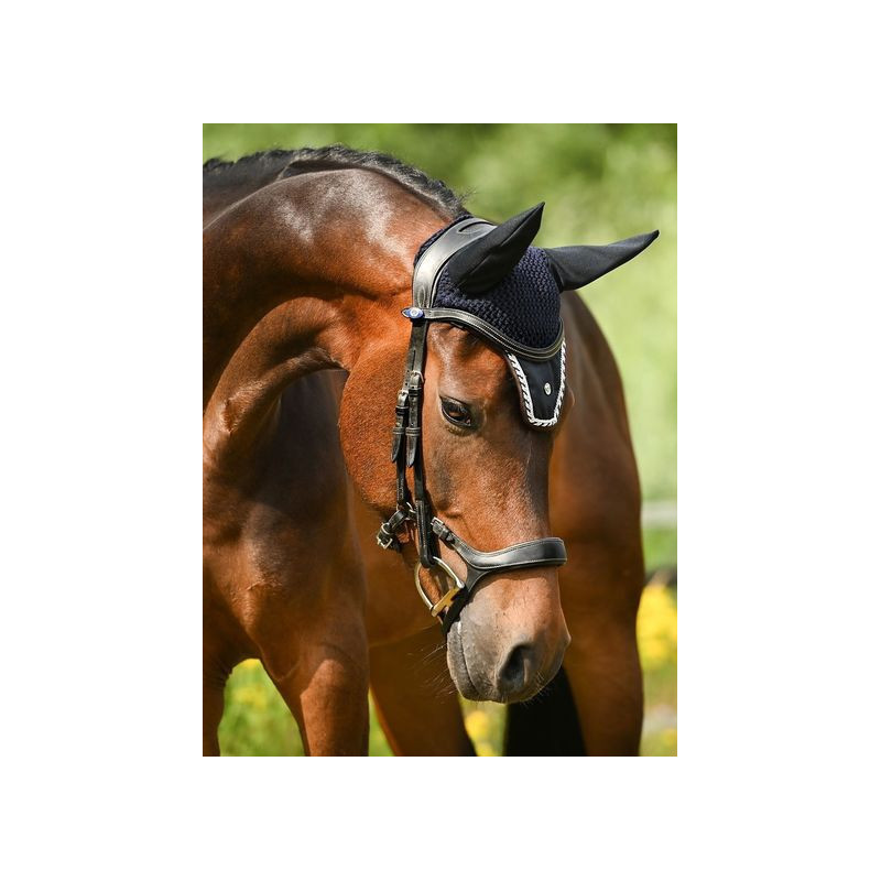 Bridle Pioneer
