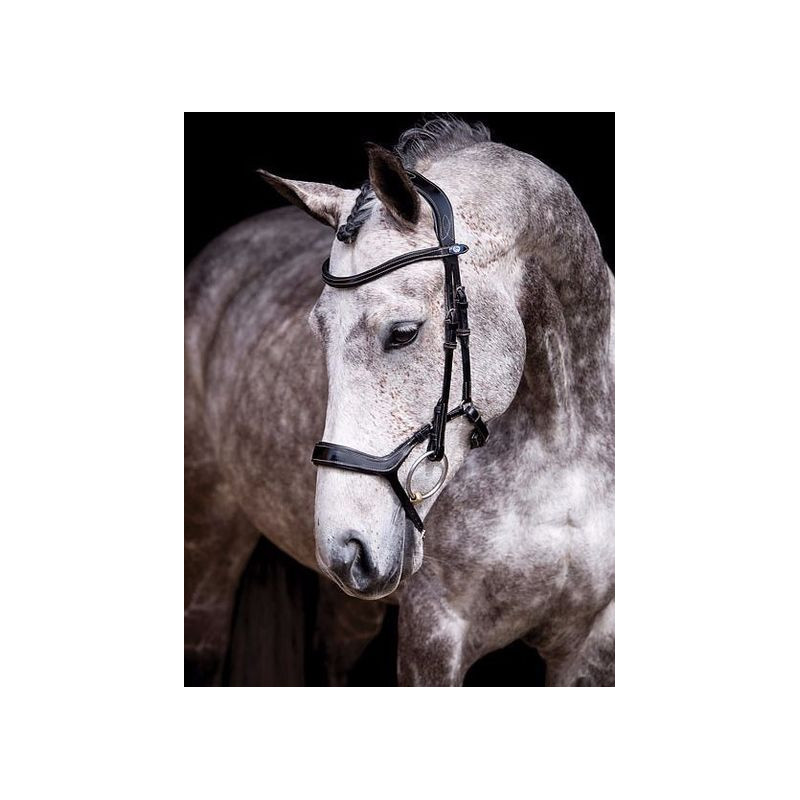 Bridle Pioneer