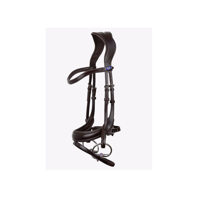 Paladin Bridle