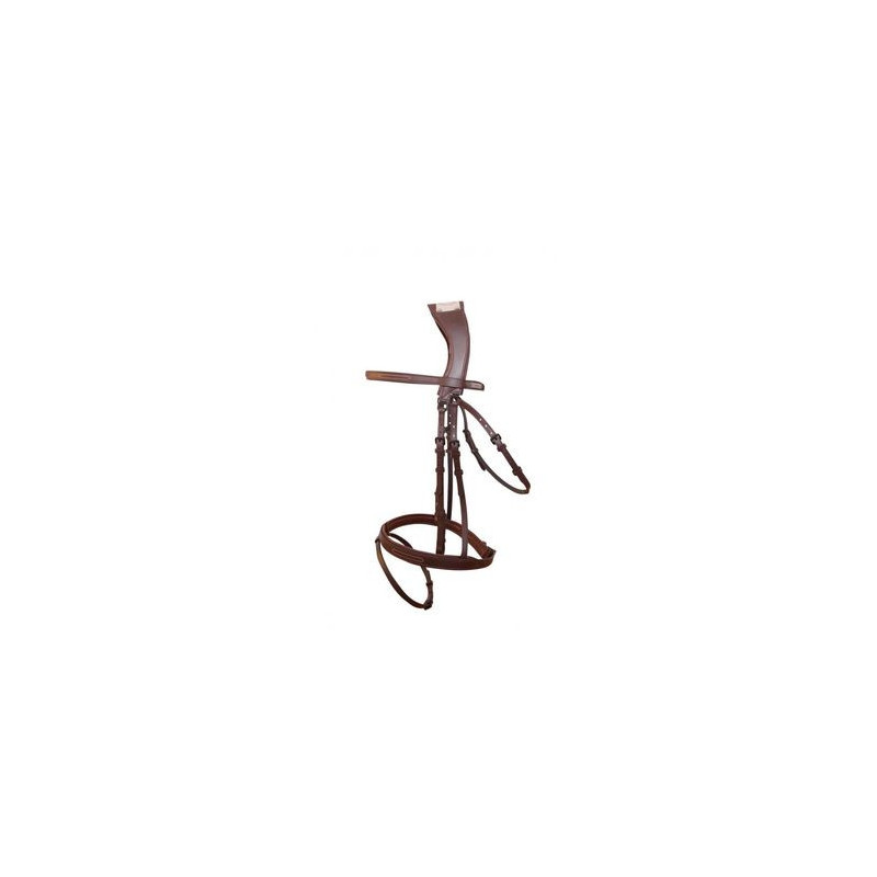 Manet Bridle