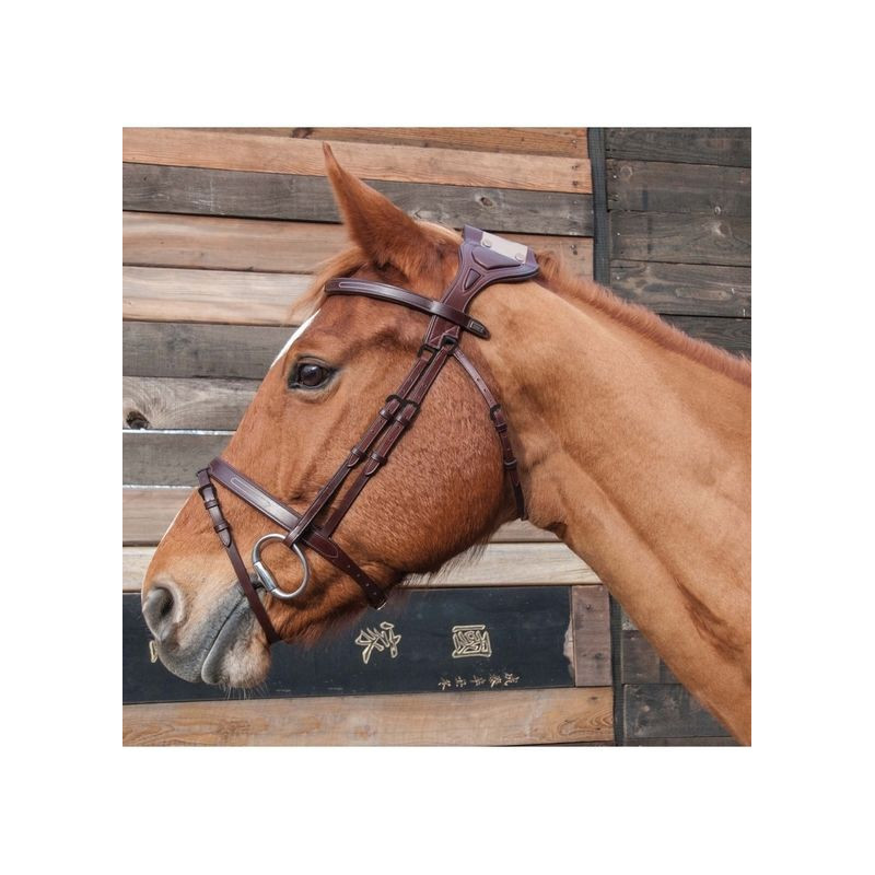 Chagall Bridle