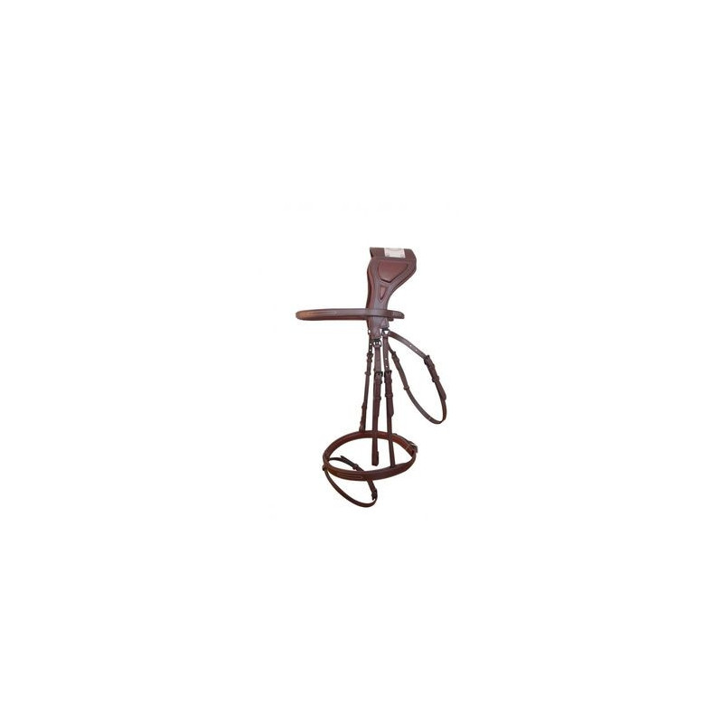 Chagall Bridle