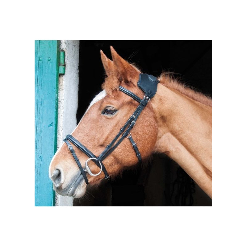 Vargas Bridle