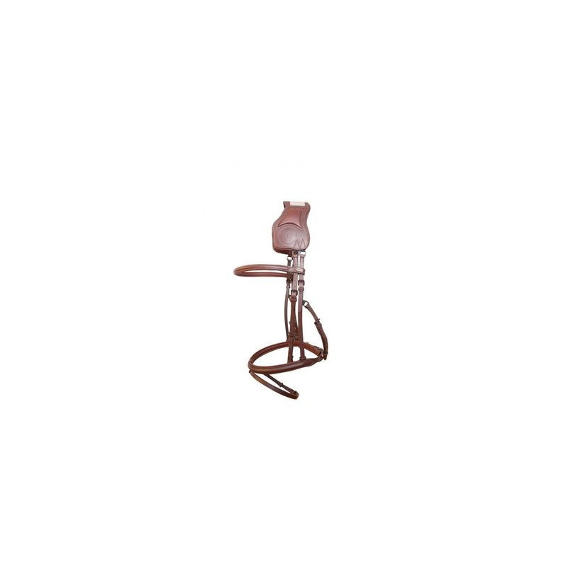 Vargas Bridle