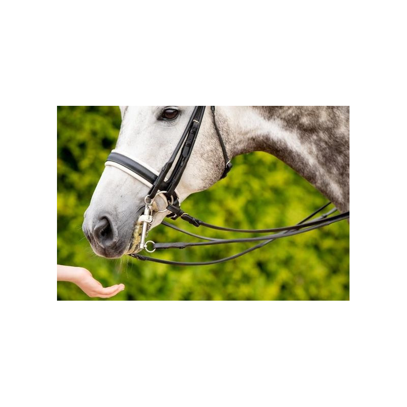 Mors de bride (lot de 3 paires)