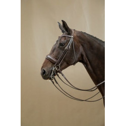 Dressage Double Bridle -...