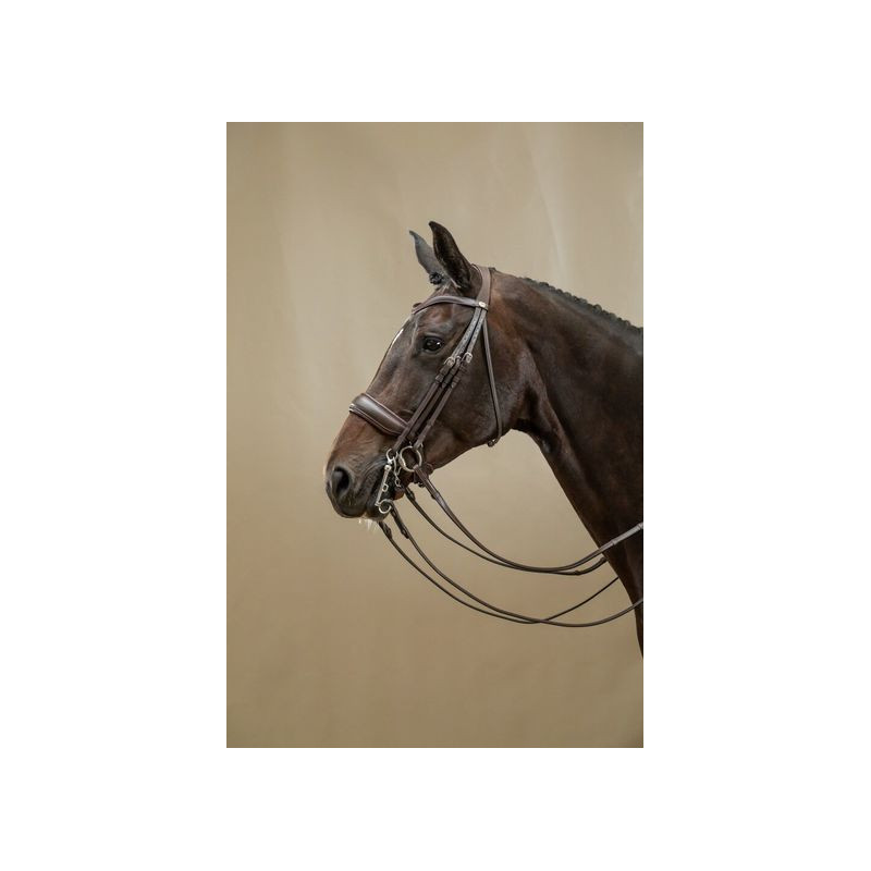 Dressage Double Bridle Dy'on