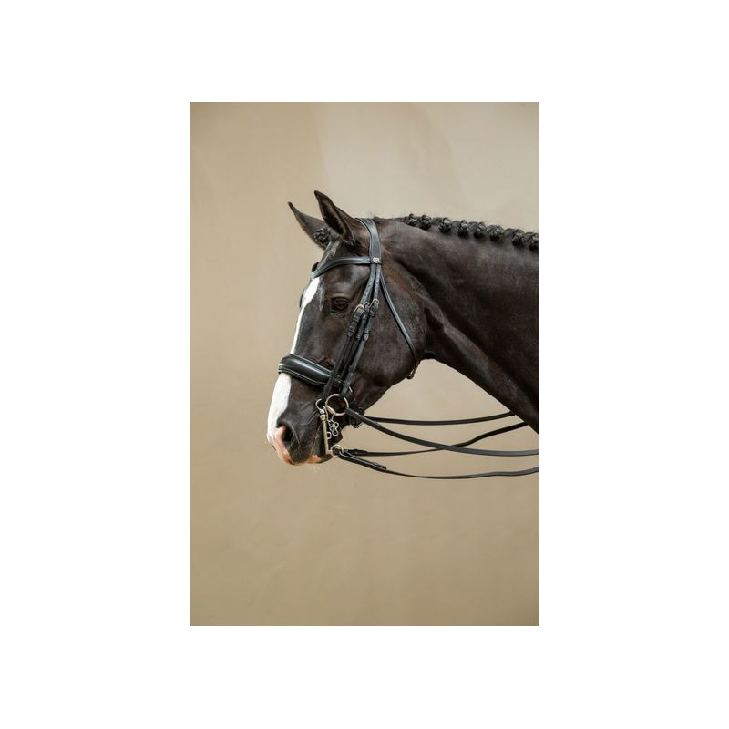 Dressage Double Bridle Dy'on