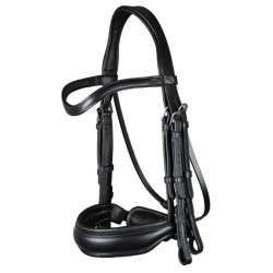 Dressage Double Bridle working