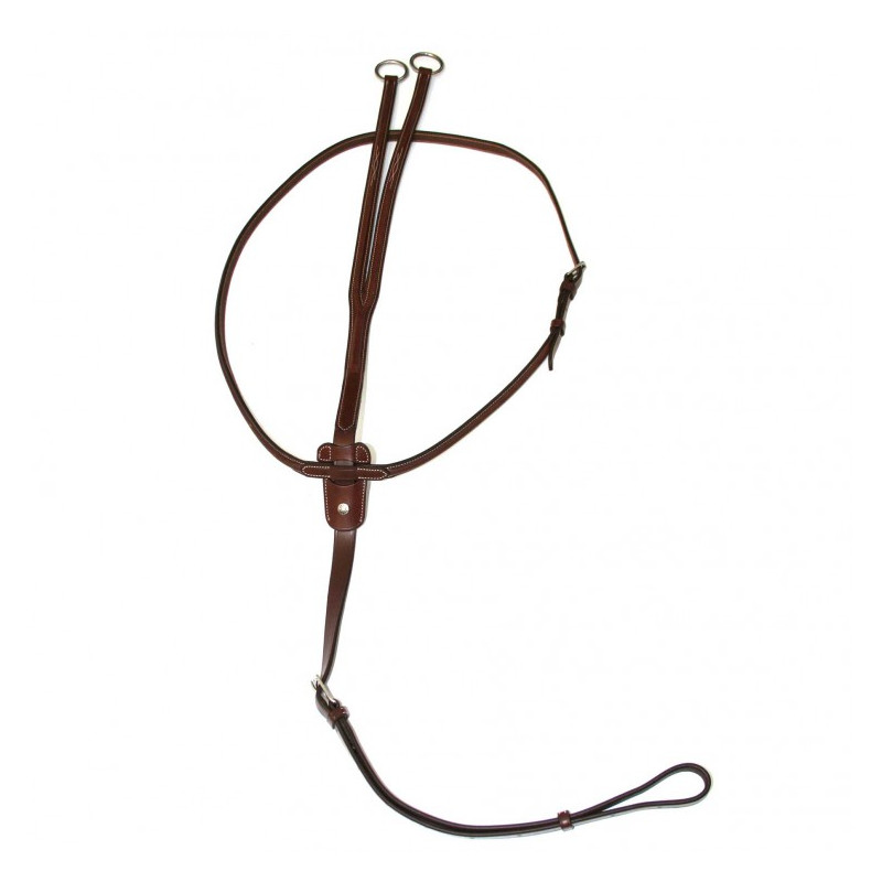 Running Martingale Antares