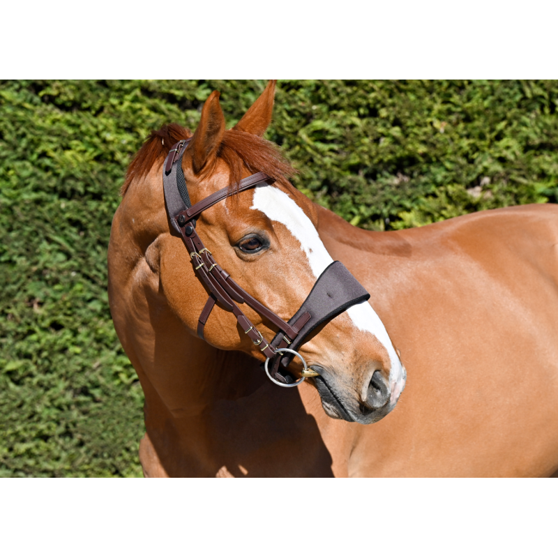 Bridon Classic Equitrense®