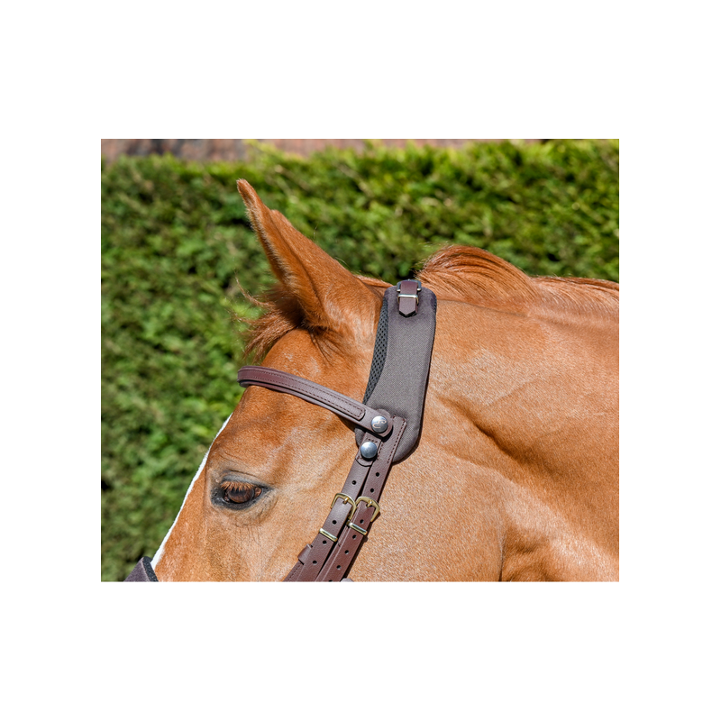 Equitrense® CLASSIC Bridle