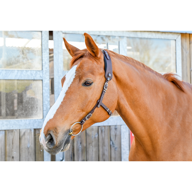 Bridon Western sans muserolle