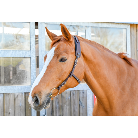 Bridon Western sans muserolle