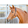 Bridon Western sans muserolle