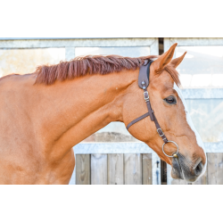 Bridle Basic Equitrense