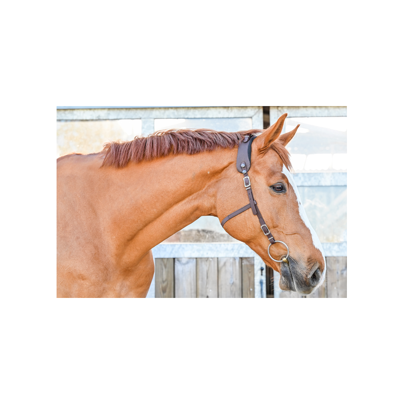 Bridon Western sans muserolle