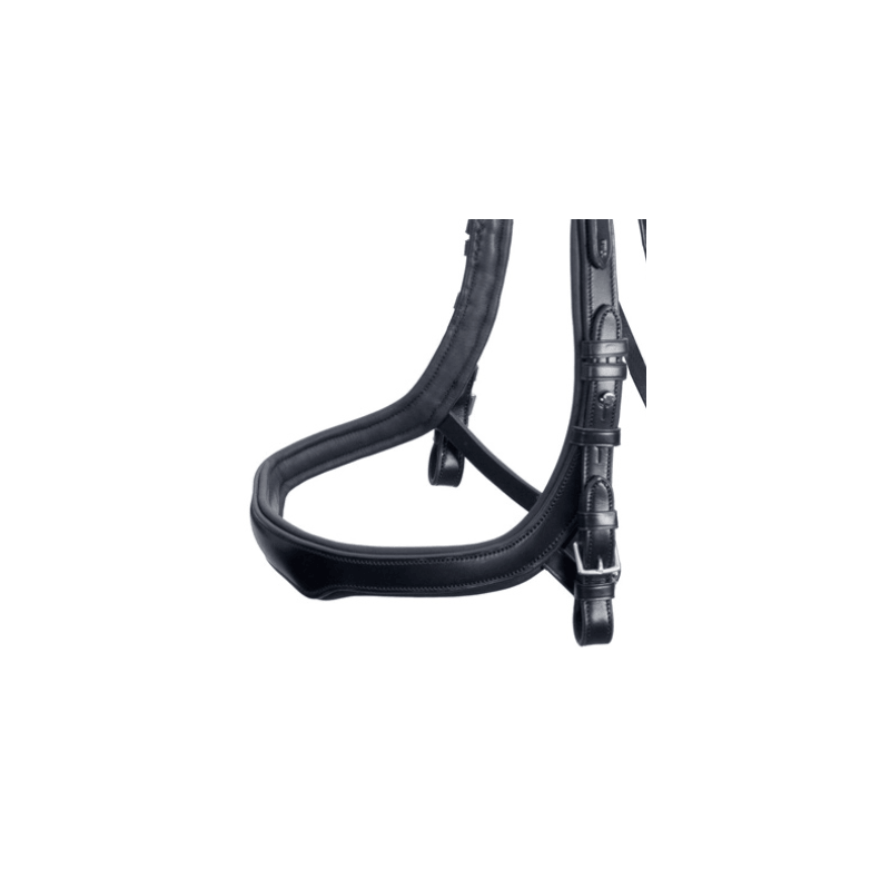 EQUITUS Delta NOSEBAND
