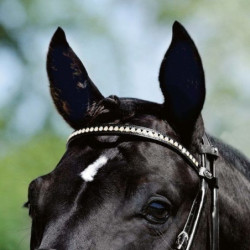 Browband crystals