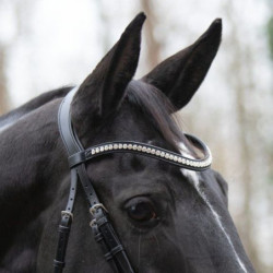 Waved Browband with big...