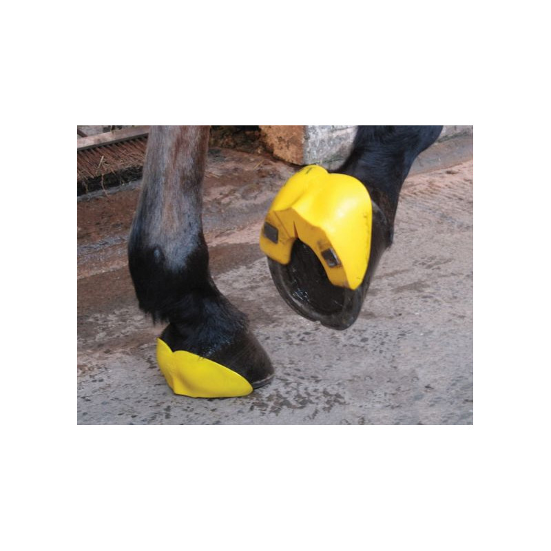 Shoe secure